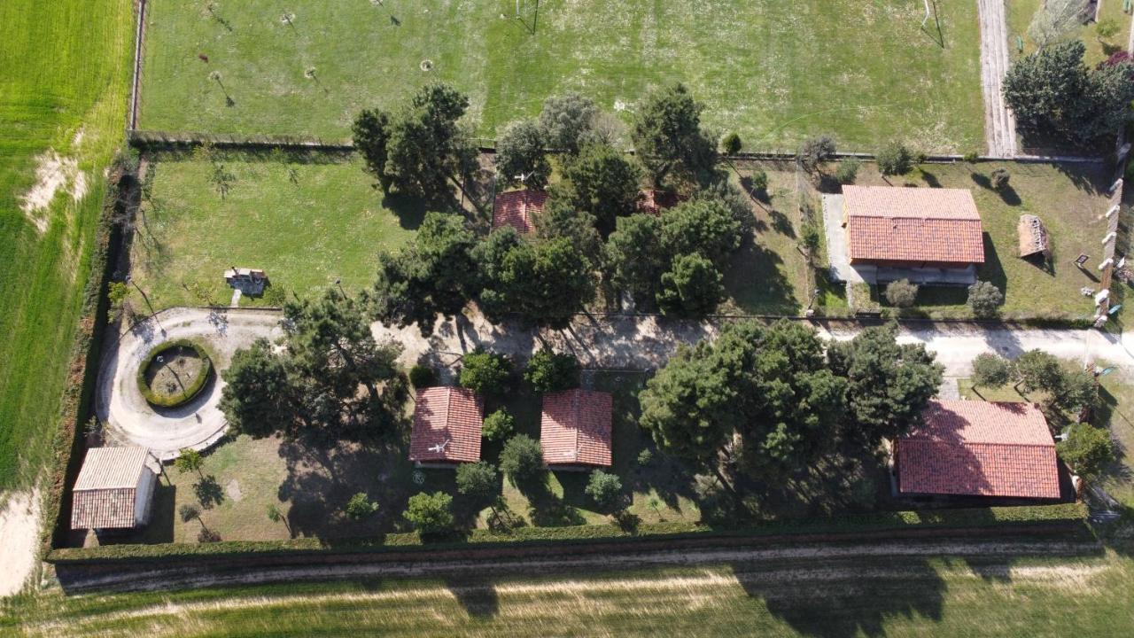 Bayubas de Abajo Las Casitas Del Pinar מראה חיצוני תמונה