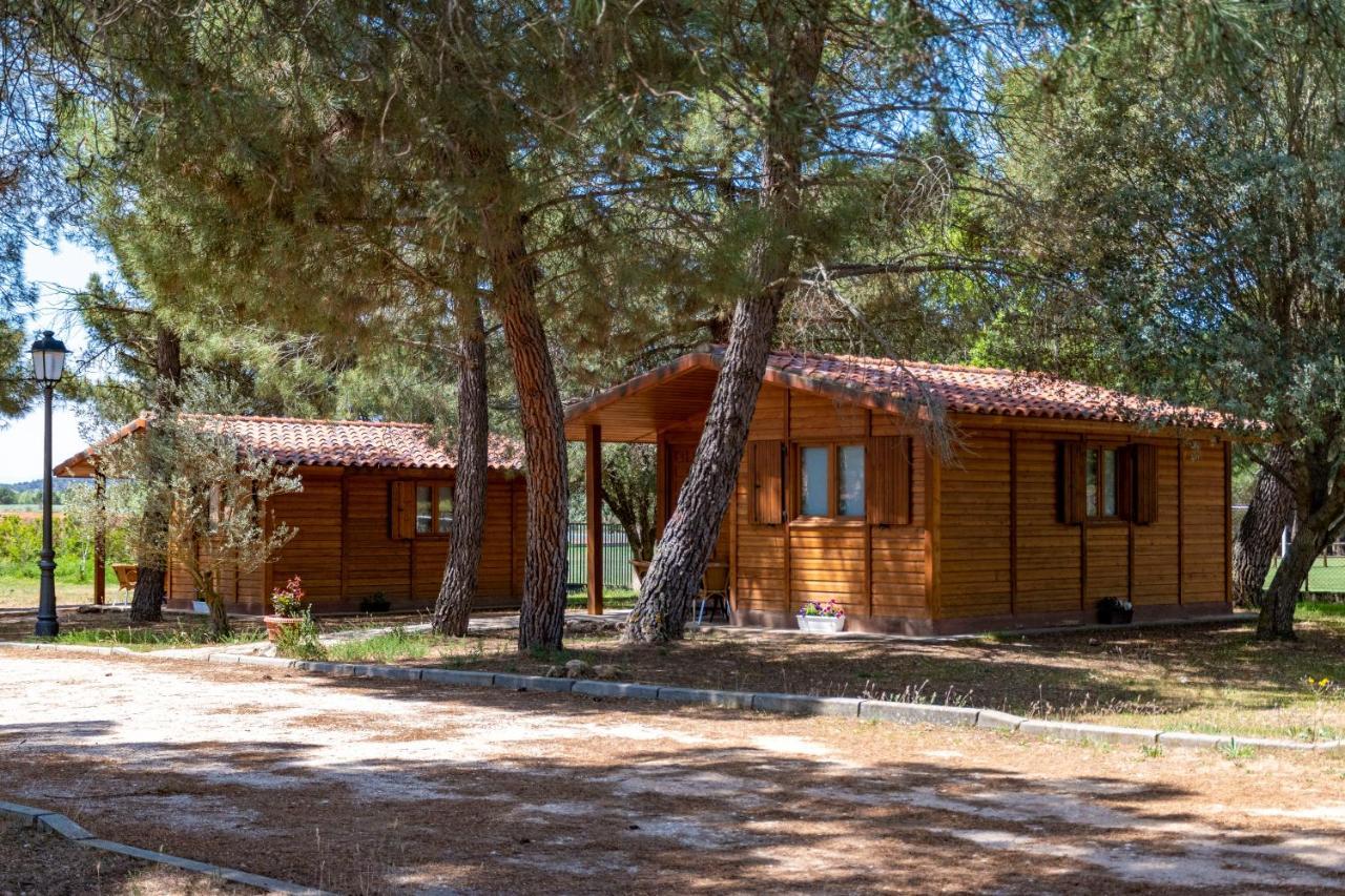 Bayubas de Abajo Las Casitas Del Pinar מראה חיצוני תמונה