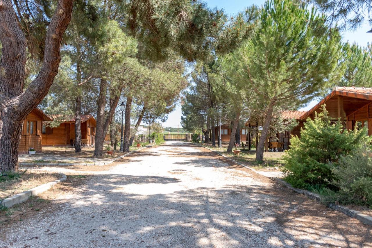 Bayubas de Abajo Las Casitas Del Pinar מראה חיצוני תמונה